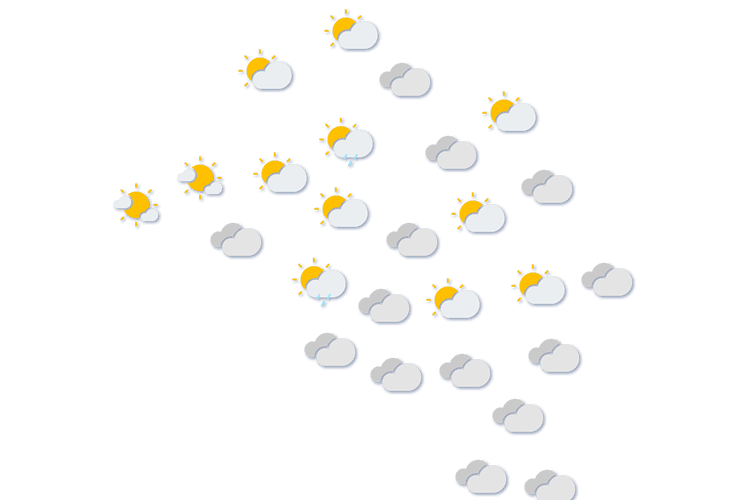Forecast