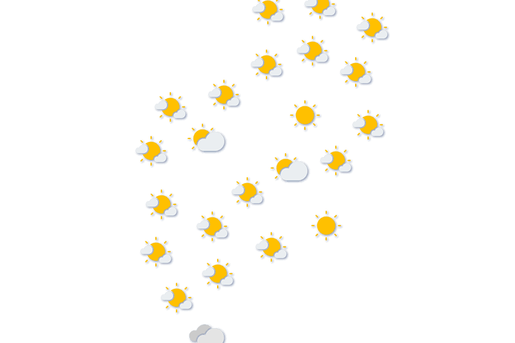 Forecast