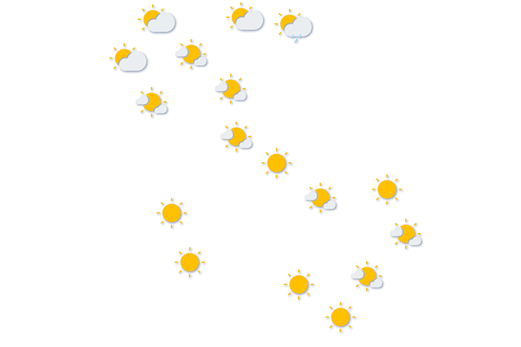 Forecast