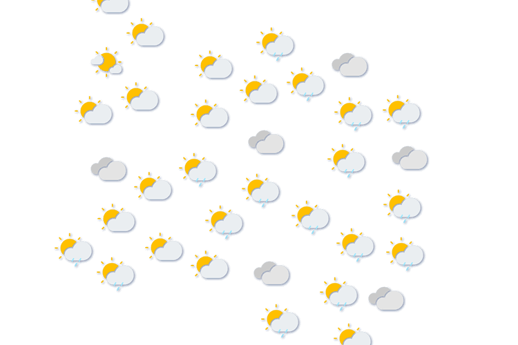 Forecast