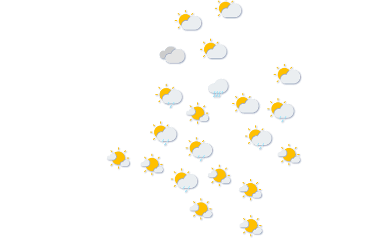 Forecast