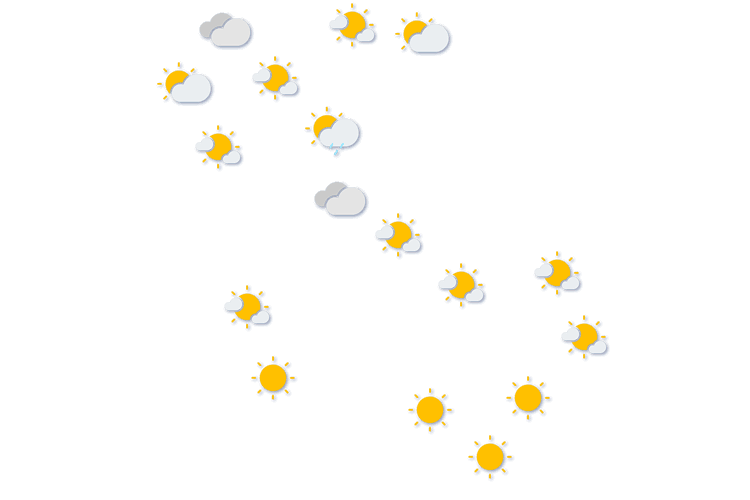 Forecast