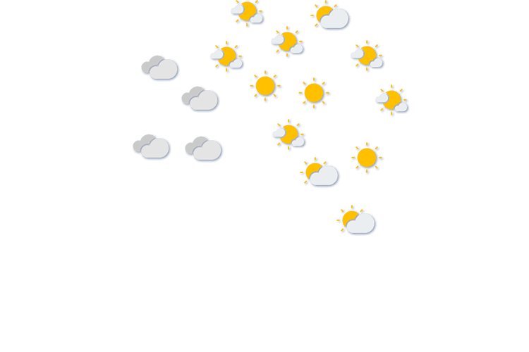 Forecast
