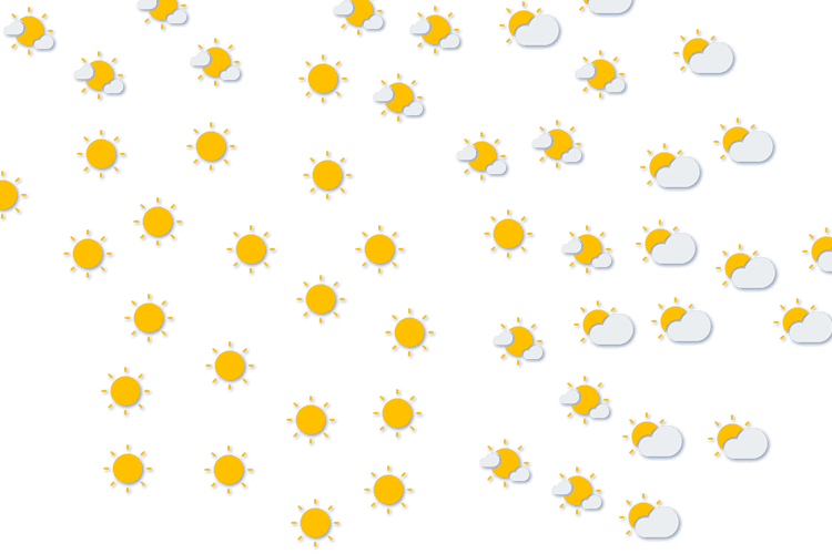 Forecast