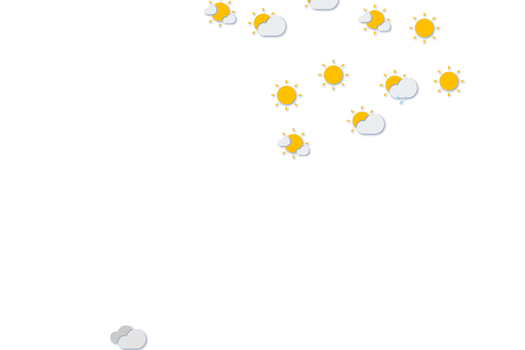 Forecast