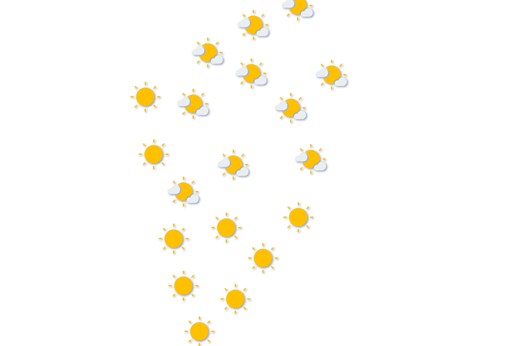Forecast