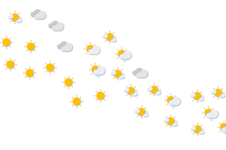Forecast