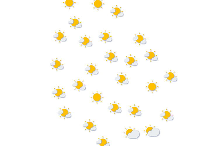 Forecast