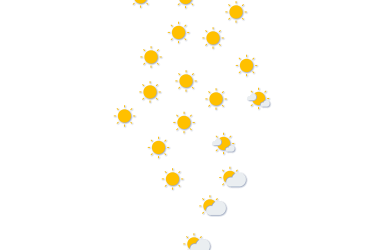 Forecast
