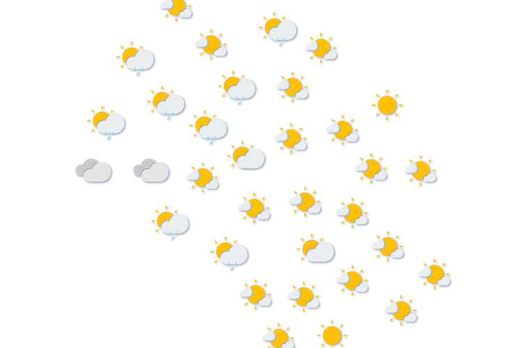 Forecast