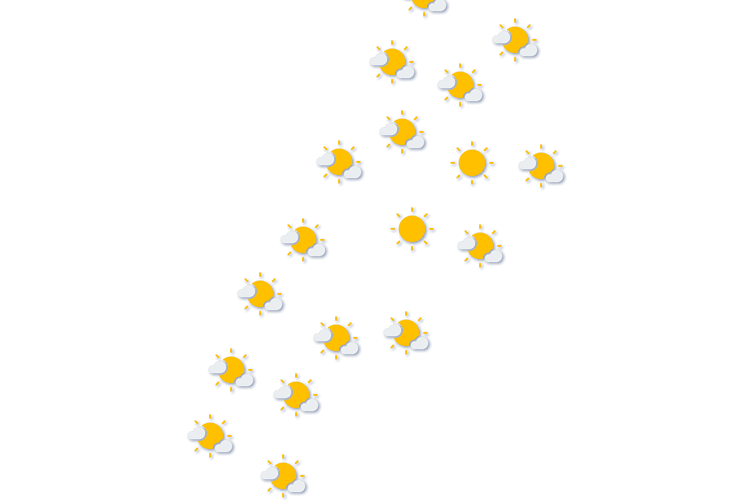 Forecast