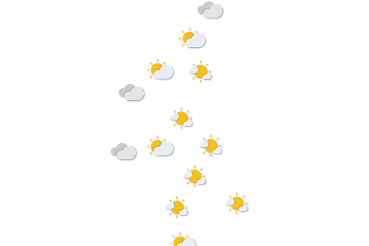 Forecast
