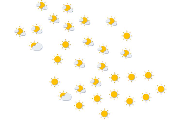Forecast
