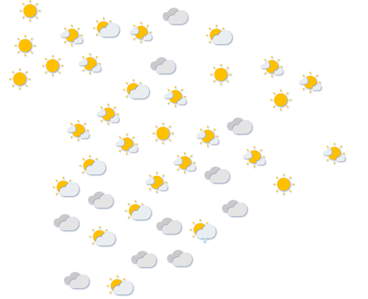 Forecast