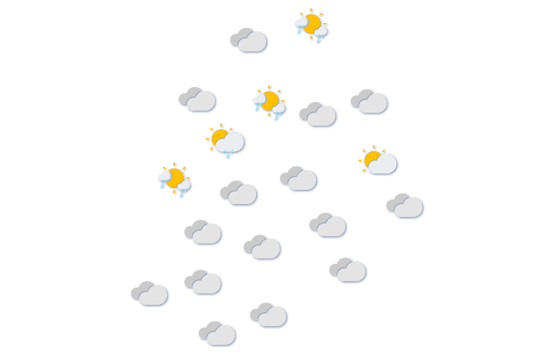 Forecast