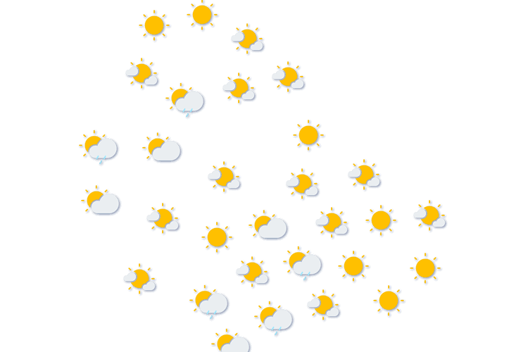 Forecast