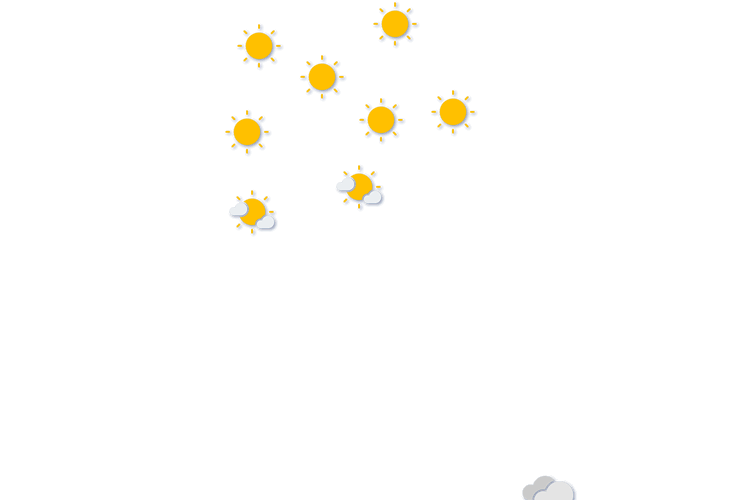 Forecast