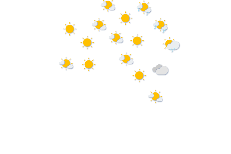 Forecast