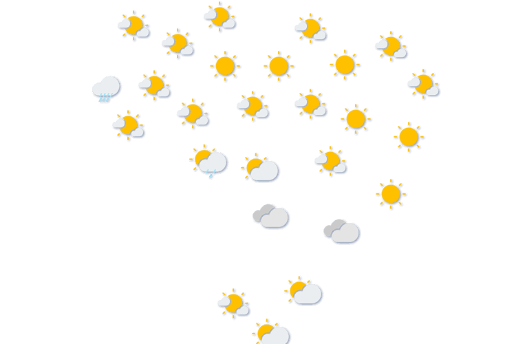Forecast