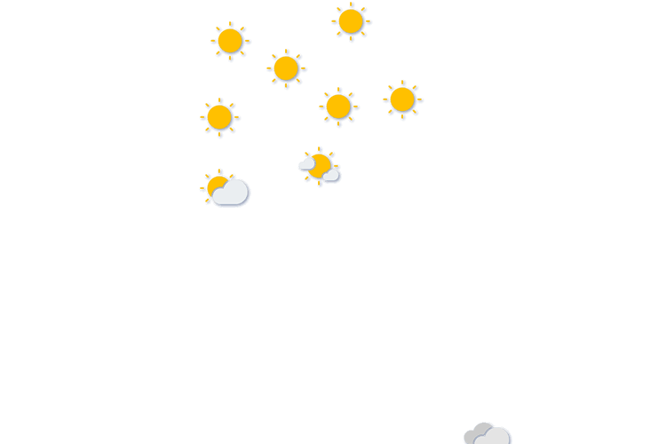 Forecast