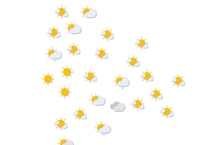 Forecast