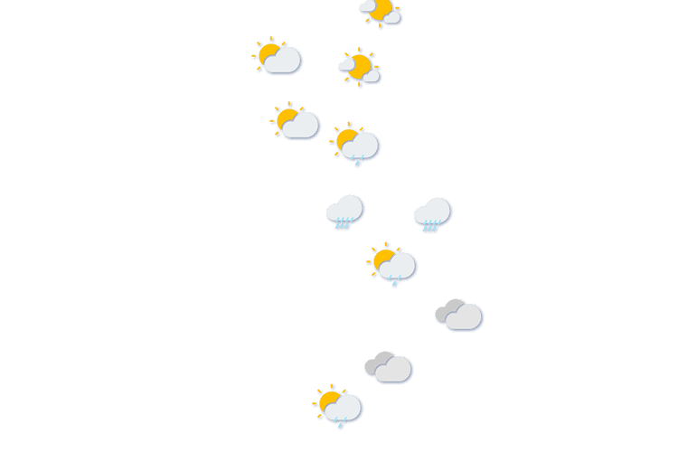 Forecast