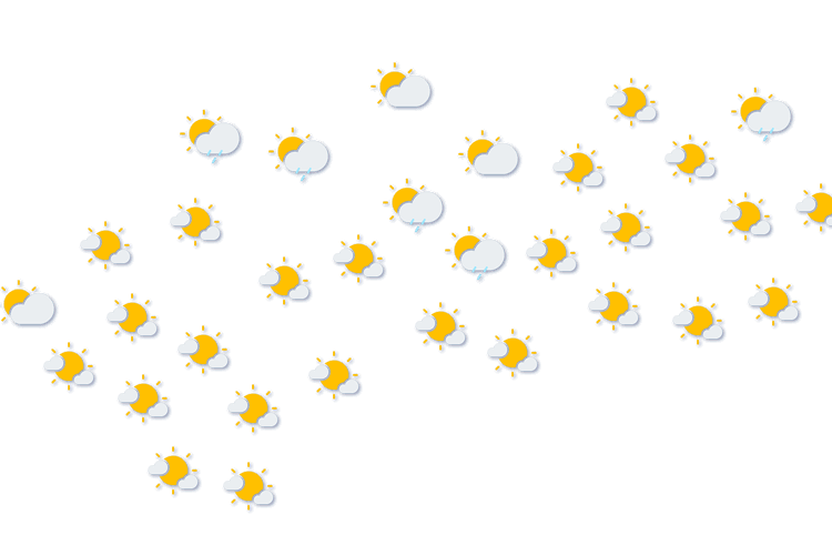 Forecast