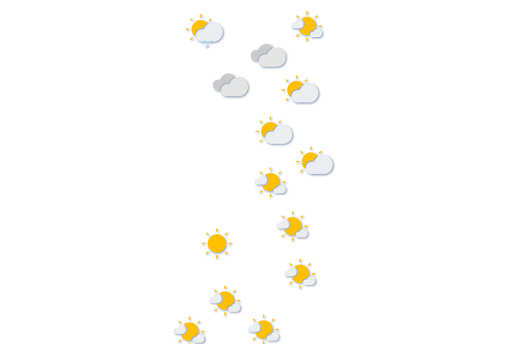 Forecast