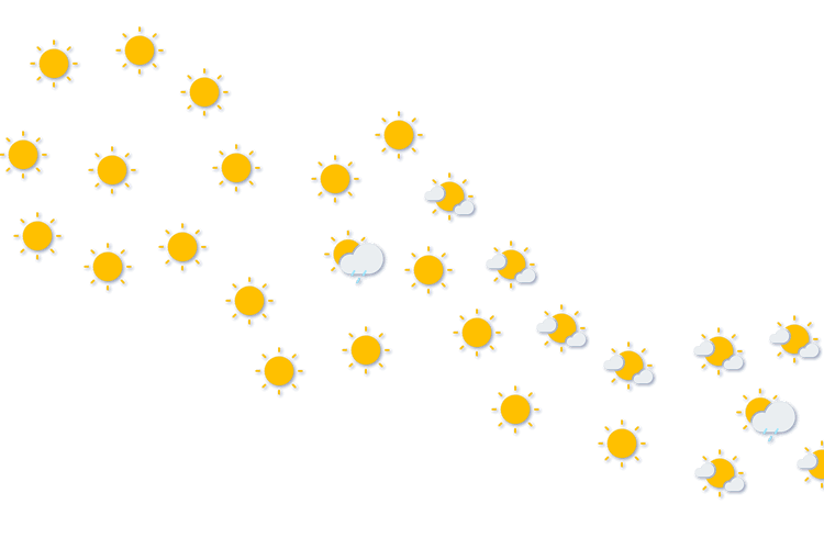 Forecast