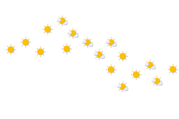 Forecast