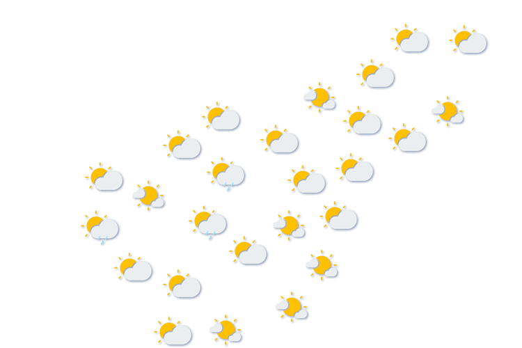 Forecast