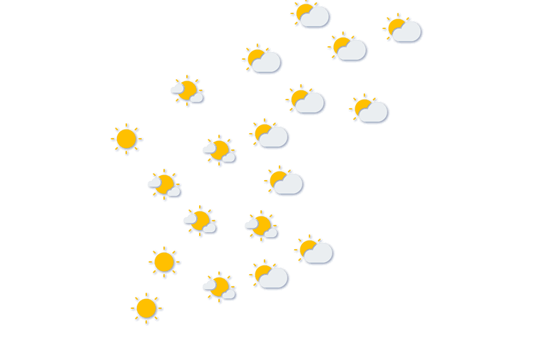 Forecast