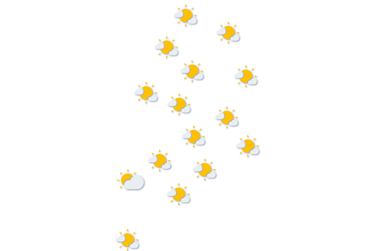Forecast