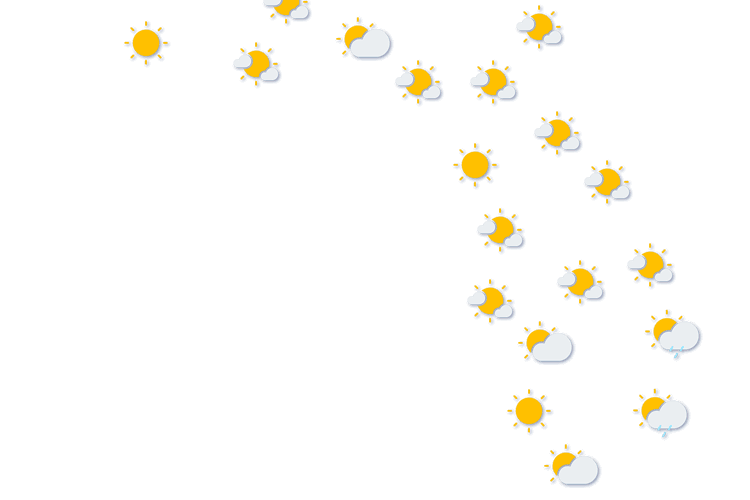 Forecast