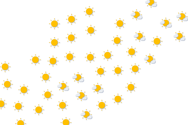 Forecast