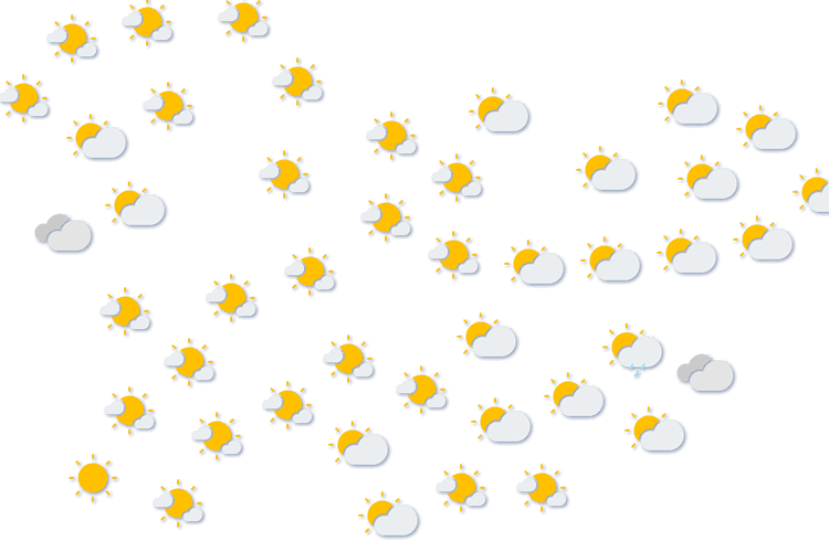 Forecast