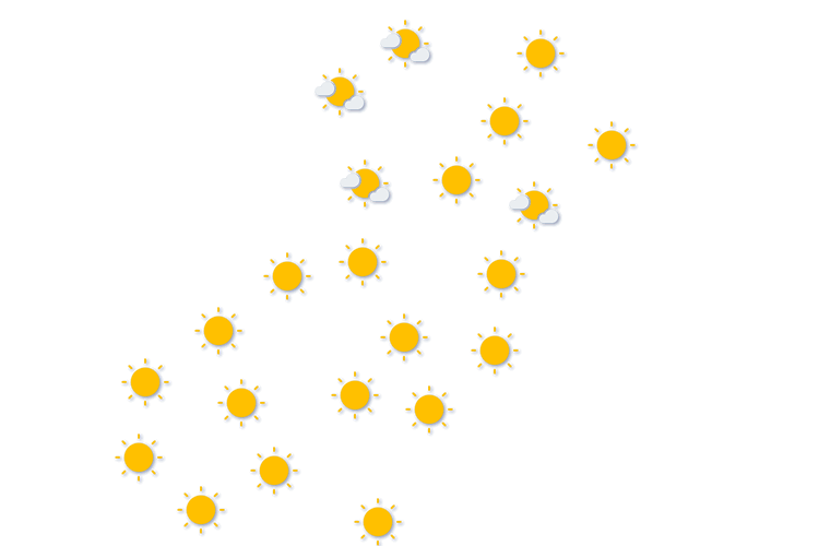 Forecast