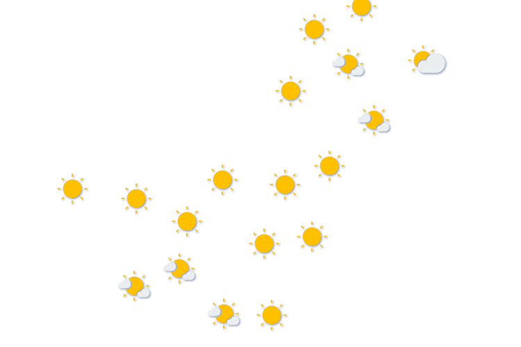 Forecast