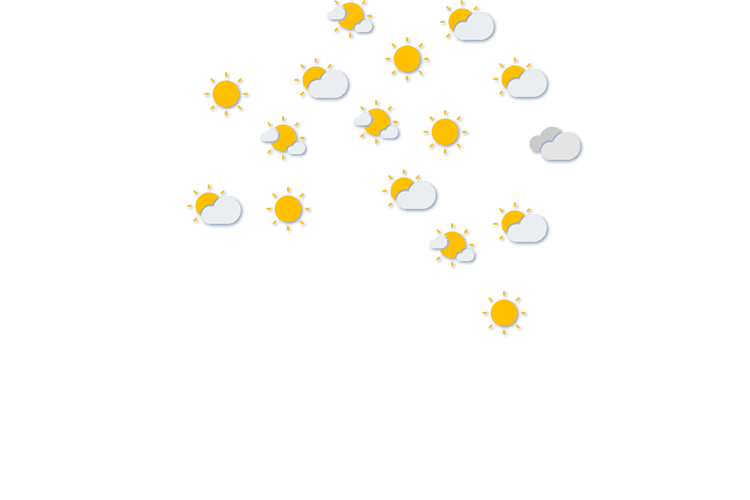 Forecast