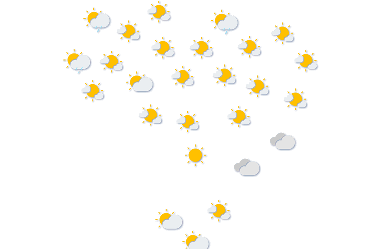 Forecast