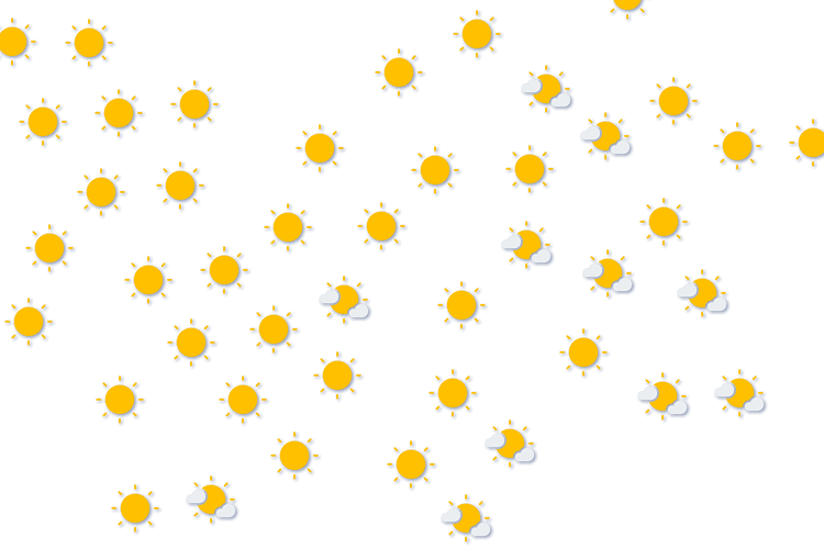 Forecast
