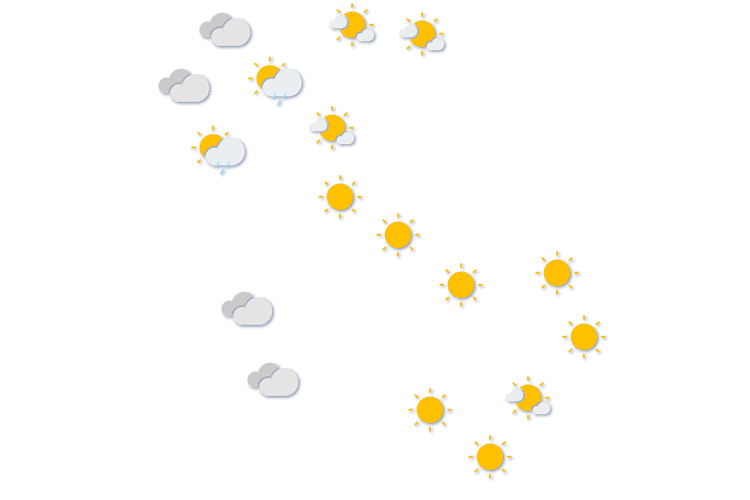 Forecast