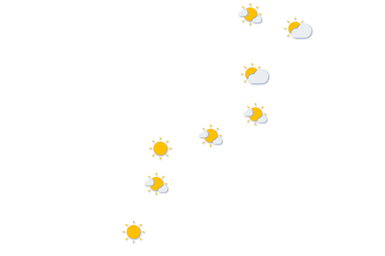 Forecast