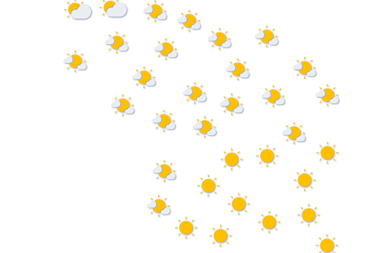 Forecast