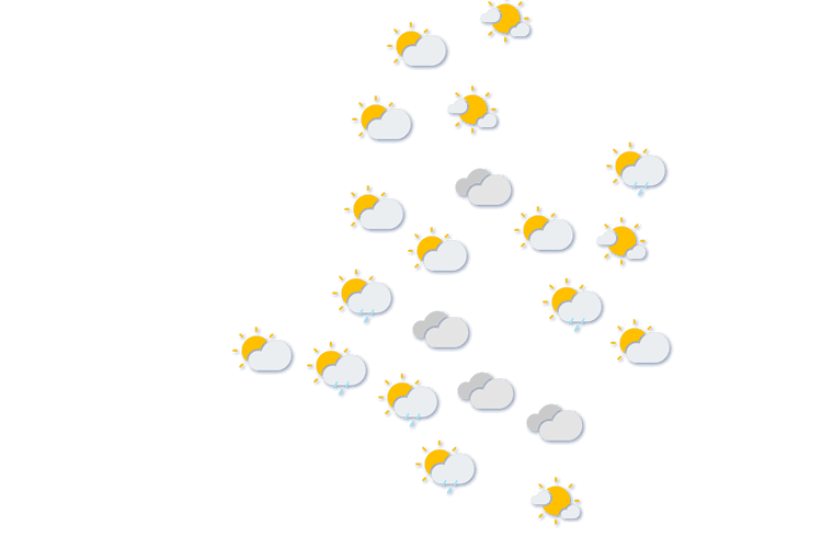 Forecast
