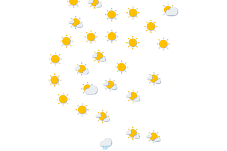 Forecast