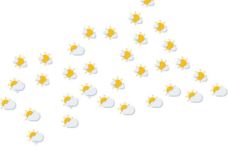 Forecast