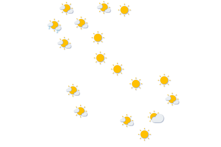 Forecast