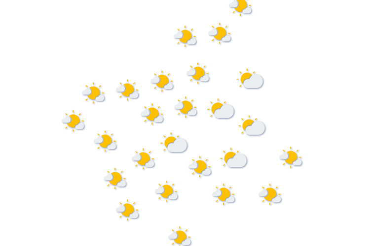 Forecast
