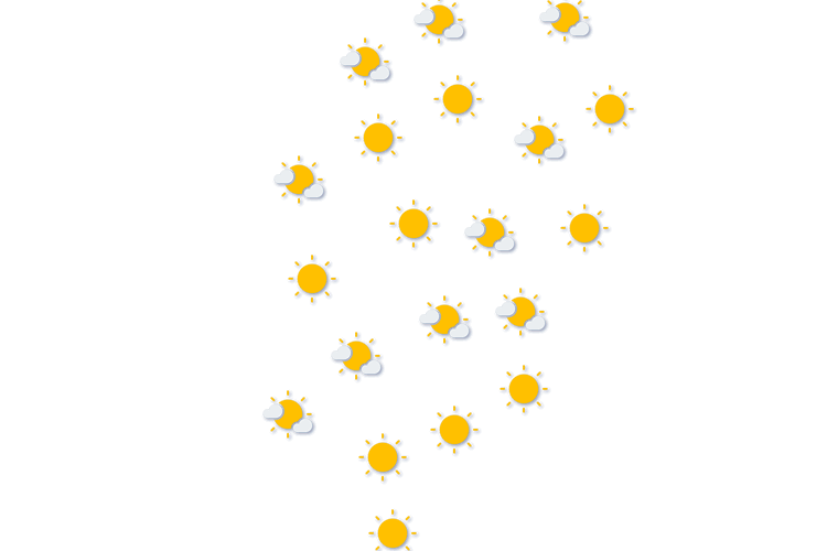 Forecast